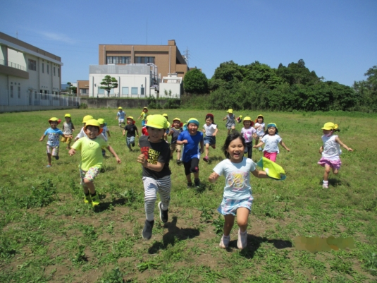 応募先情報イメージ画像