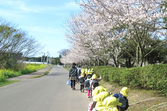 応募先情報イメージ画像